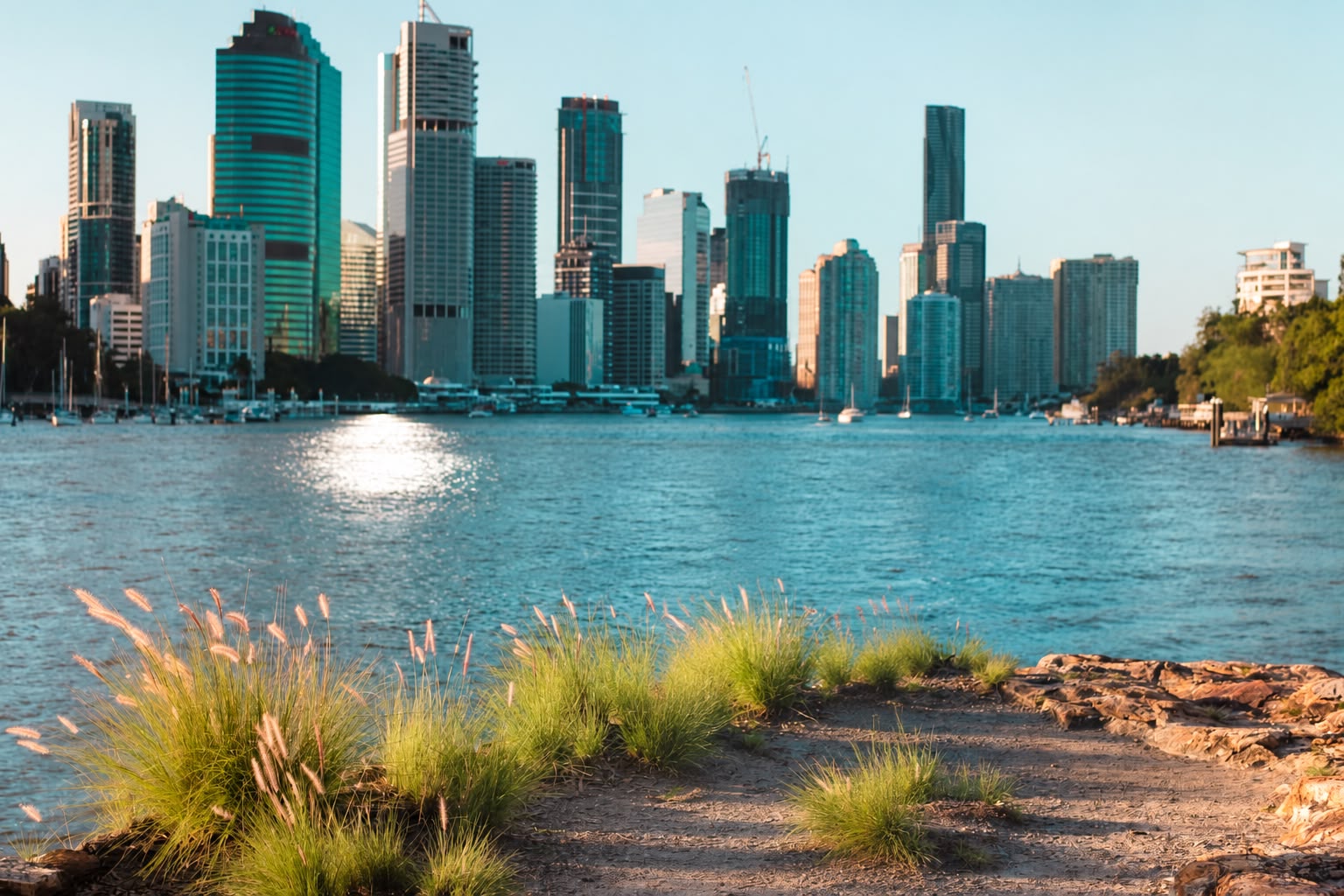 Kangaroo Point picnic location in Brisbane